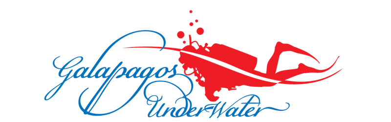 logodive